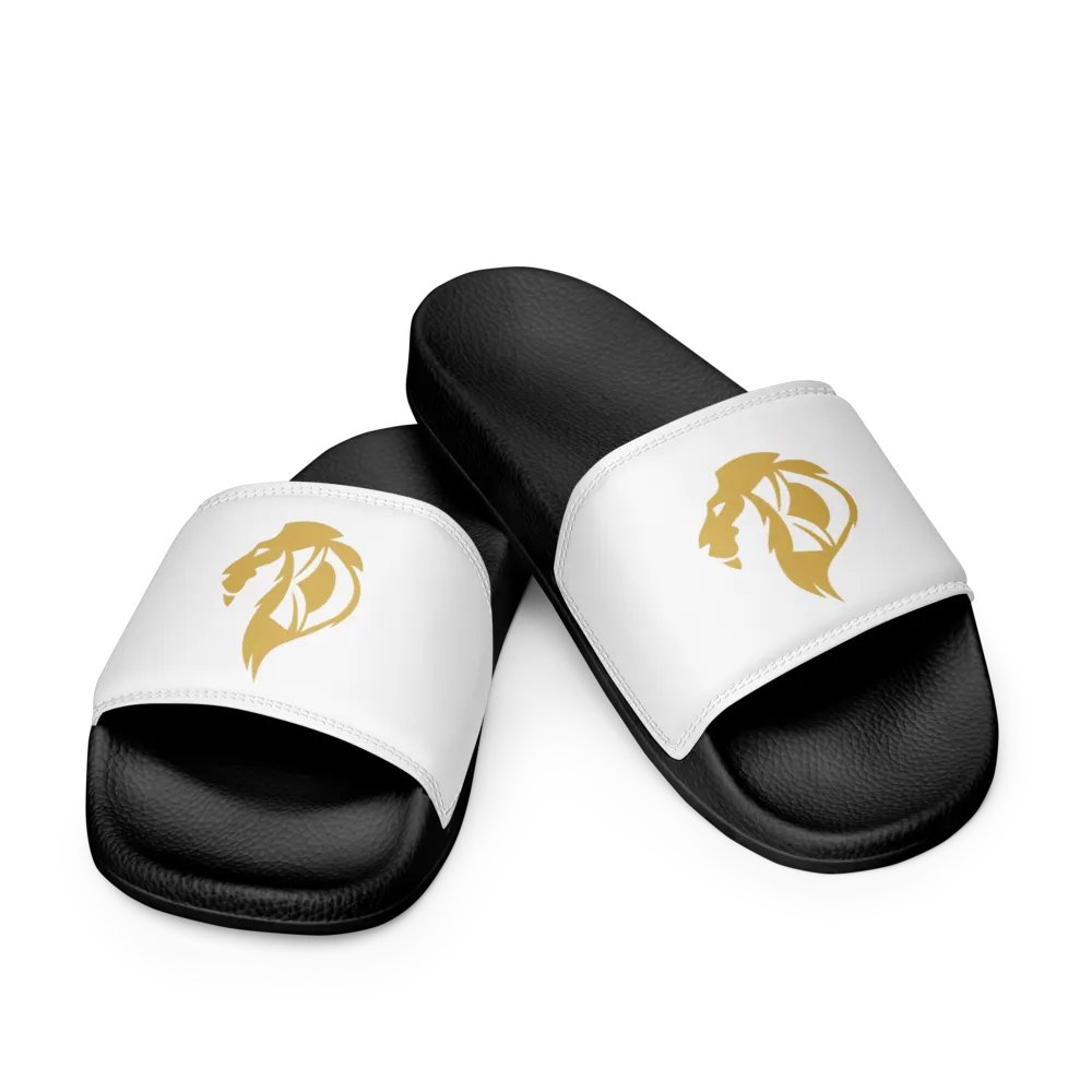KD Hill Slides product image (11)