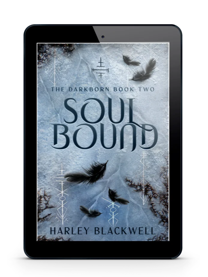 SOULBOUND (THE DARKBORN, #2) PRE-ORDER product image (1)