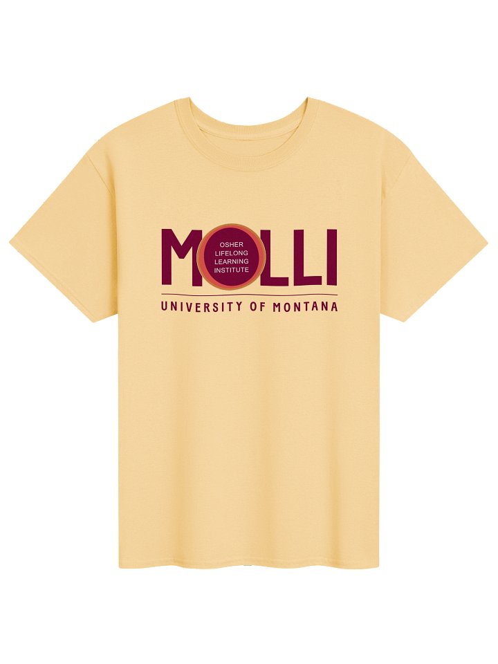 MOLLI Short Sleeve Tee - Yellow Haze product image (1)