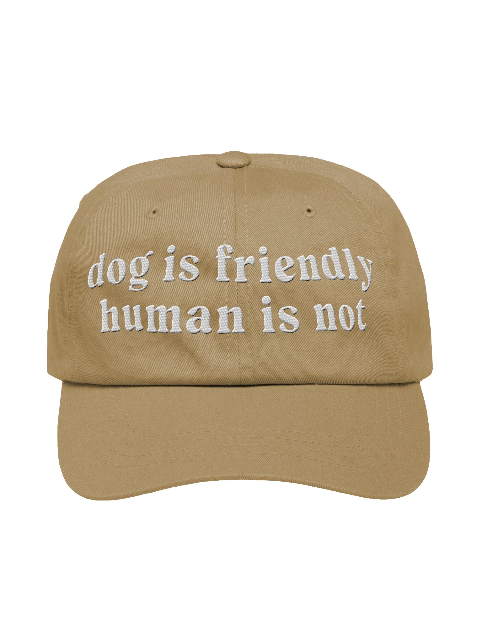 Dog Is Friendly. Human Is Not Classic Dad Hat(Embroidered) product image (9)
