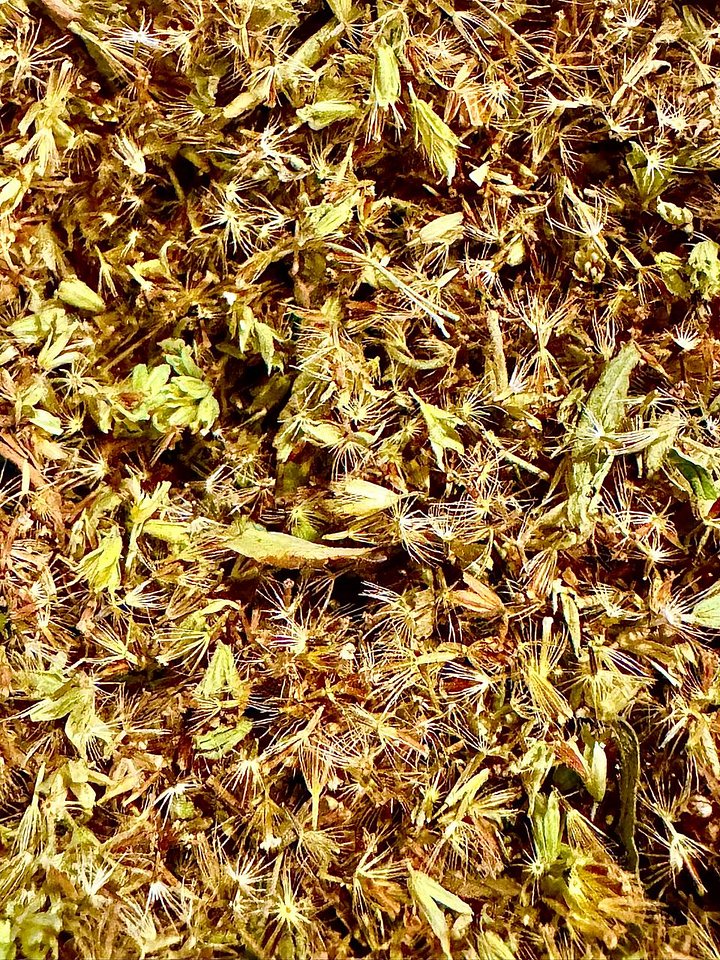 Stevia Seeds 6g product image (1)