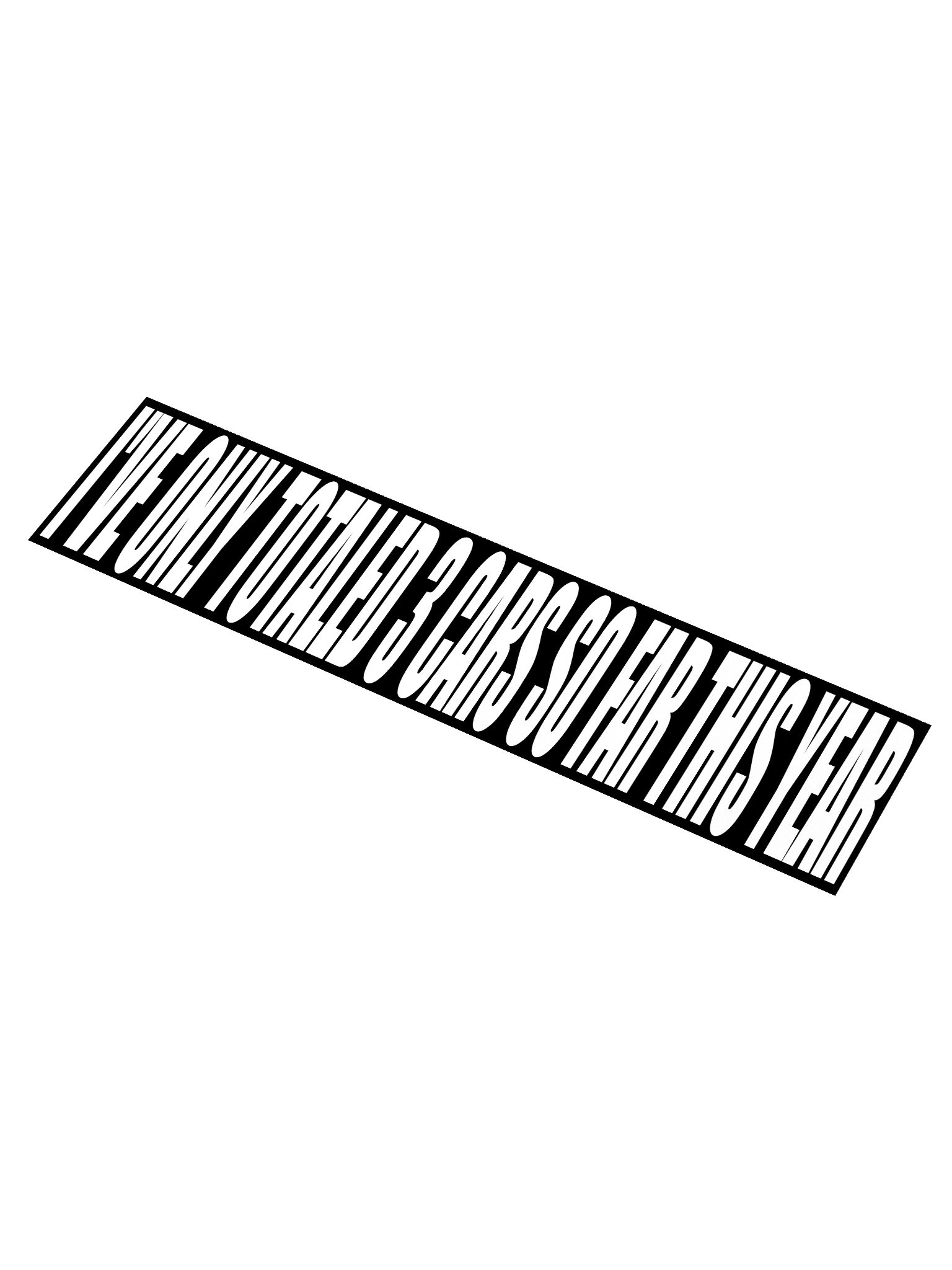 bumper sticker product image (3)