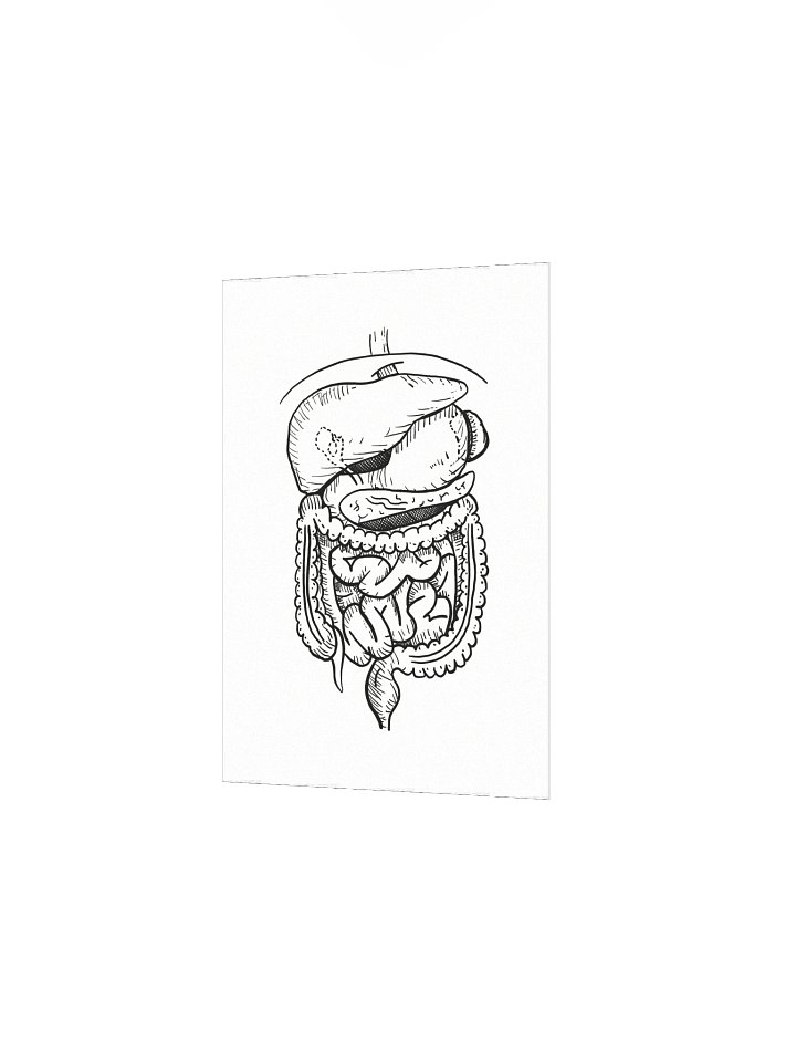 GI Tract Matte Poster product image (7)