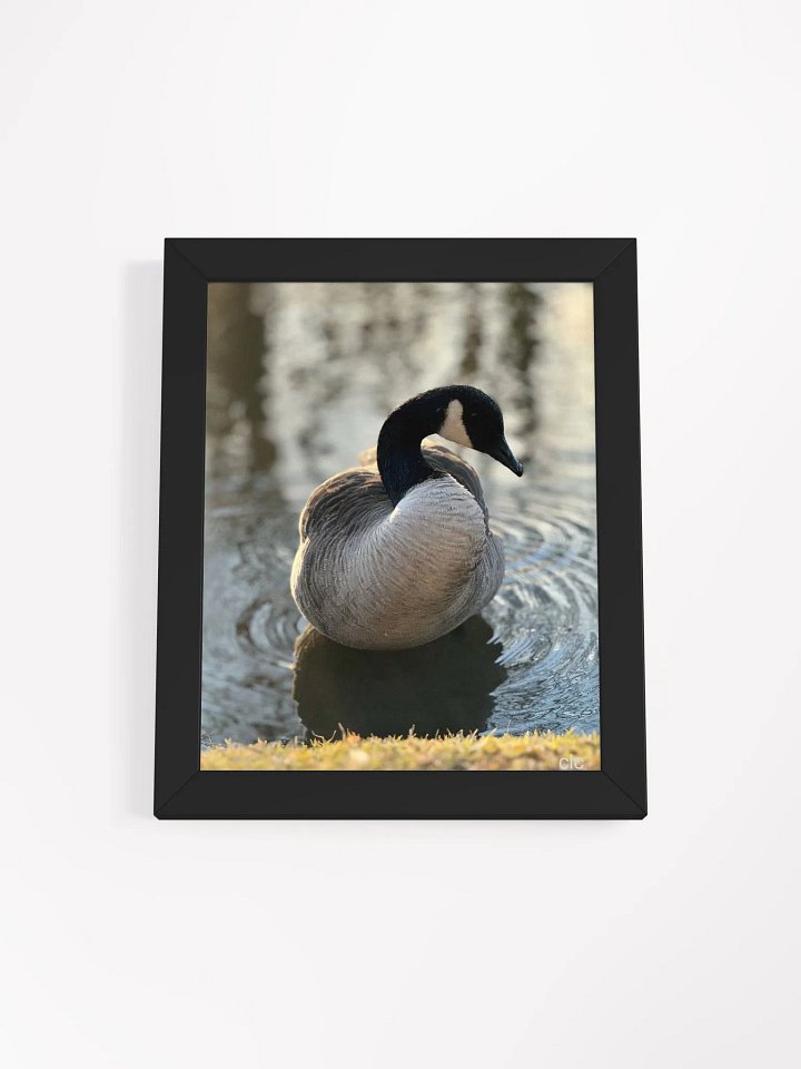 Bruce the Goose print product image (10)