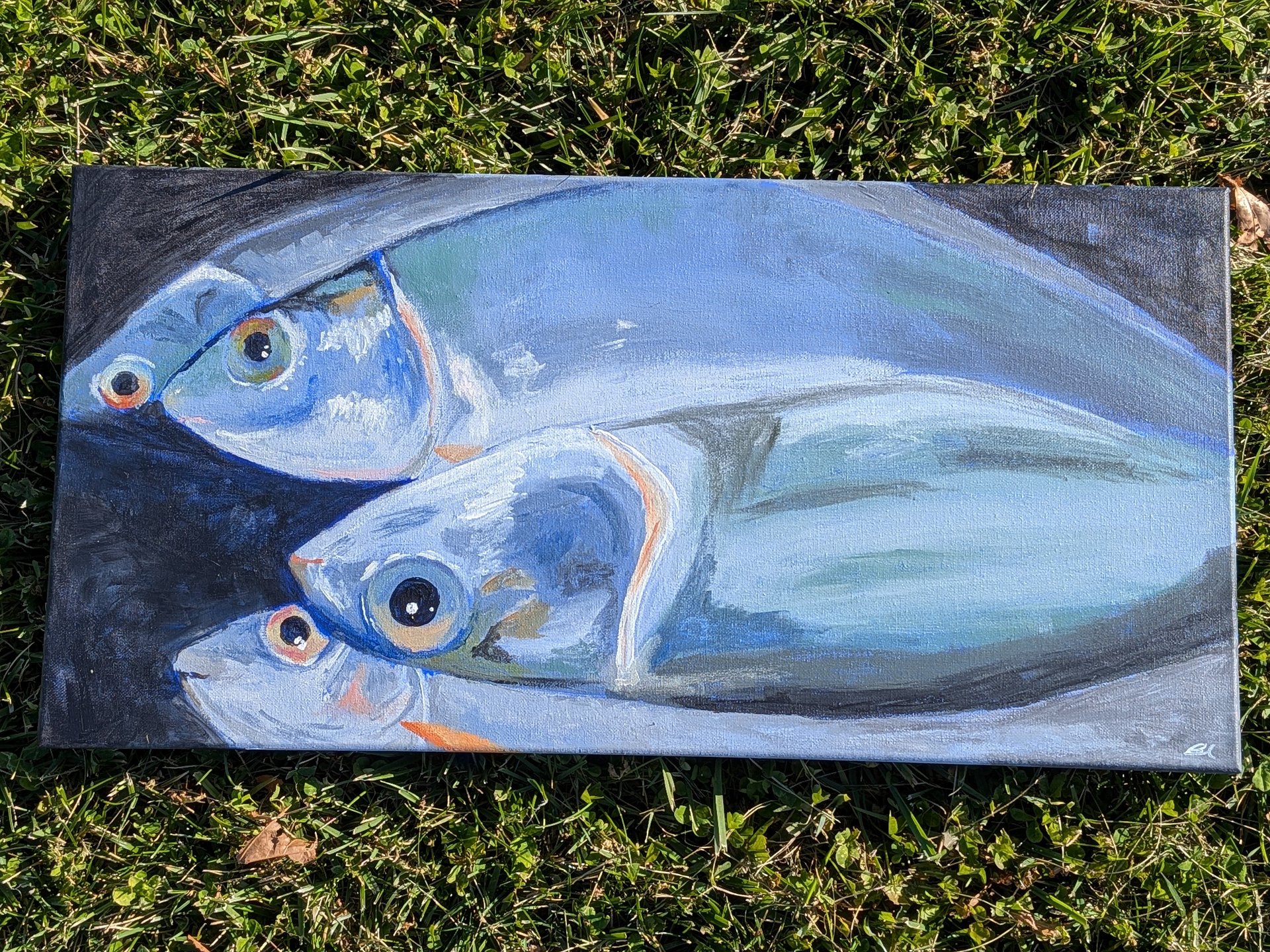"Something's a Bit Fishy" product image (2)