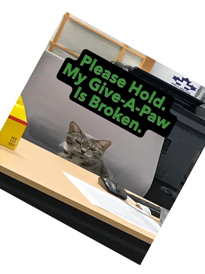 Office Cat Give-A-Paw Sticker product image (4)