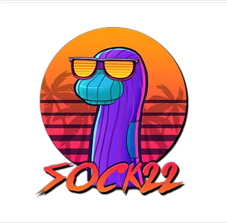 Sock22
