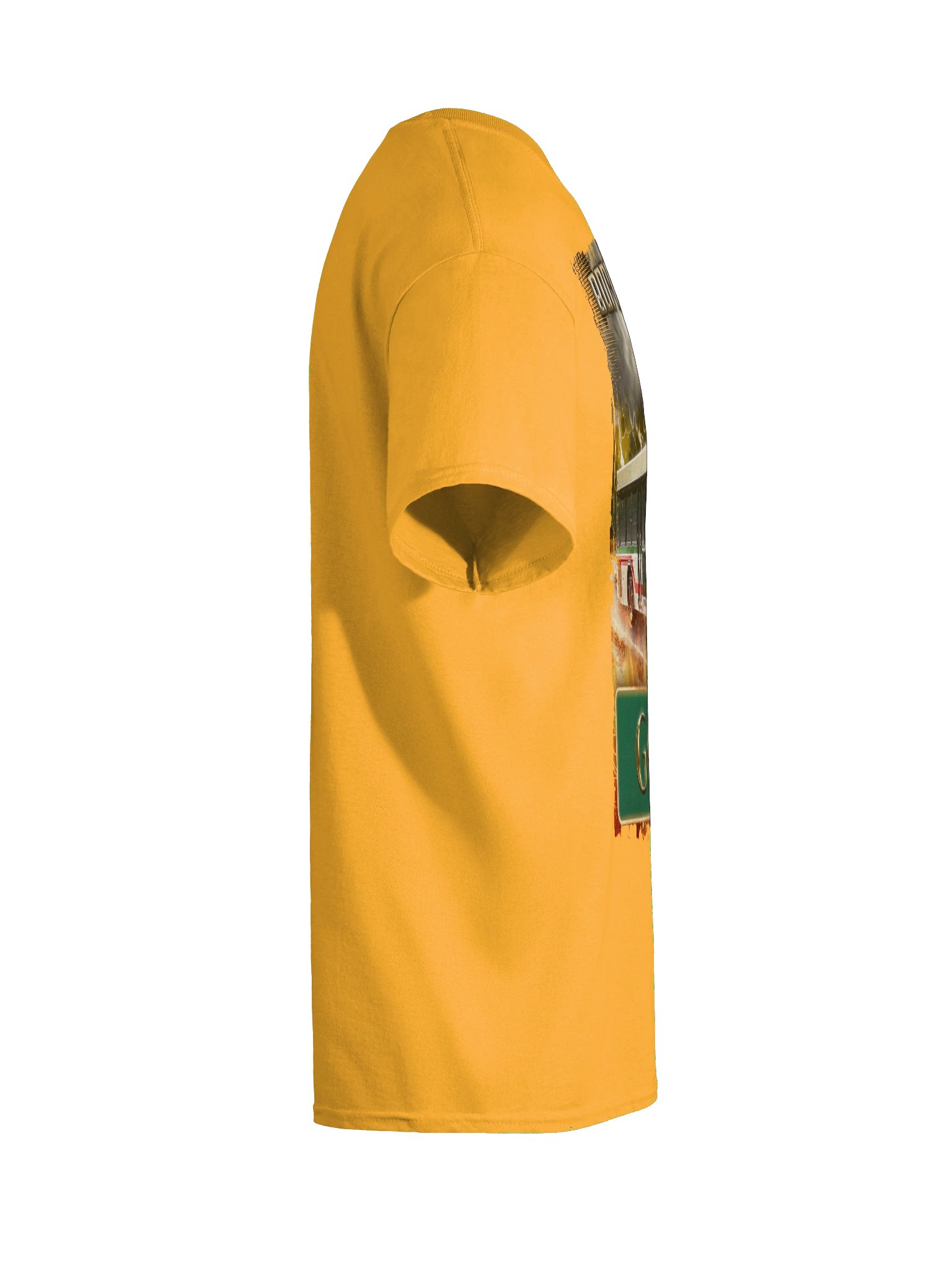 AppalShirt (Gold) product image (12)