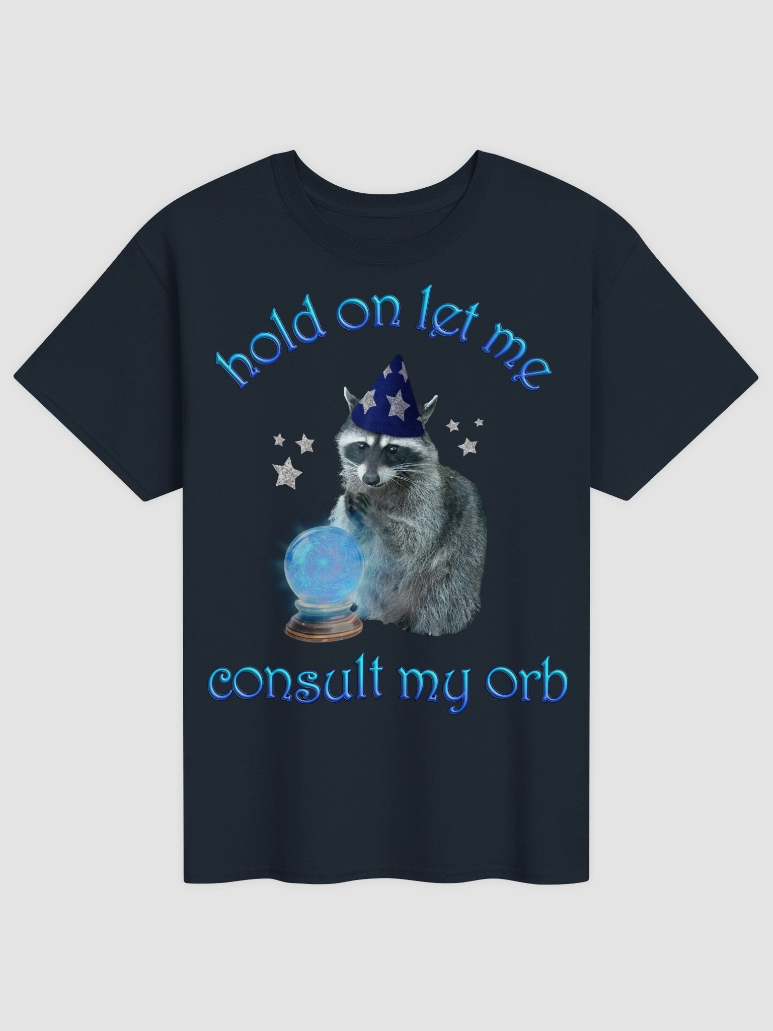 Let me consult my orb - wizard raccoon t-shirt product image (2)