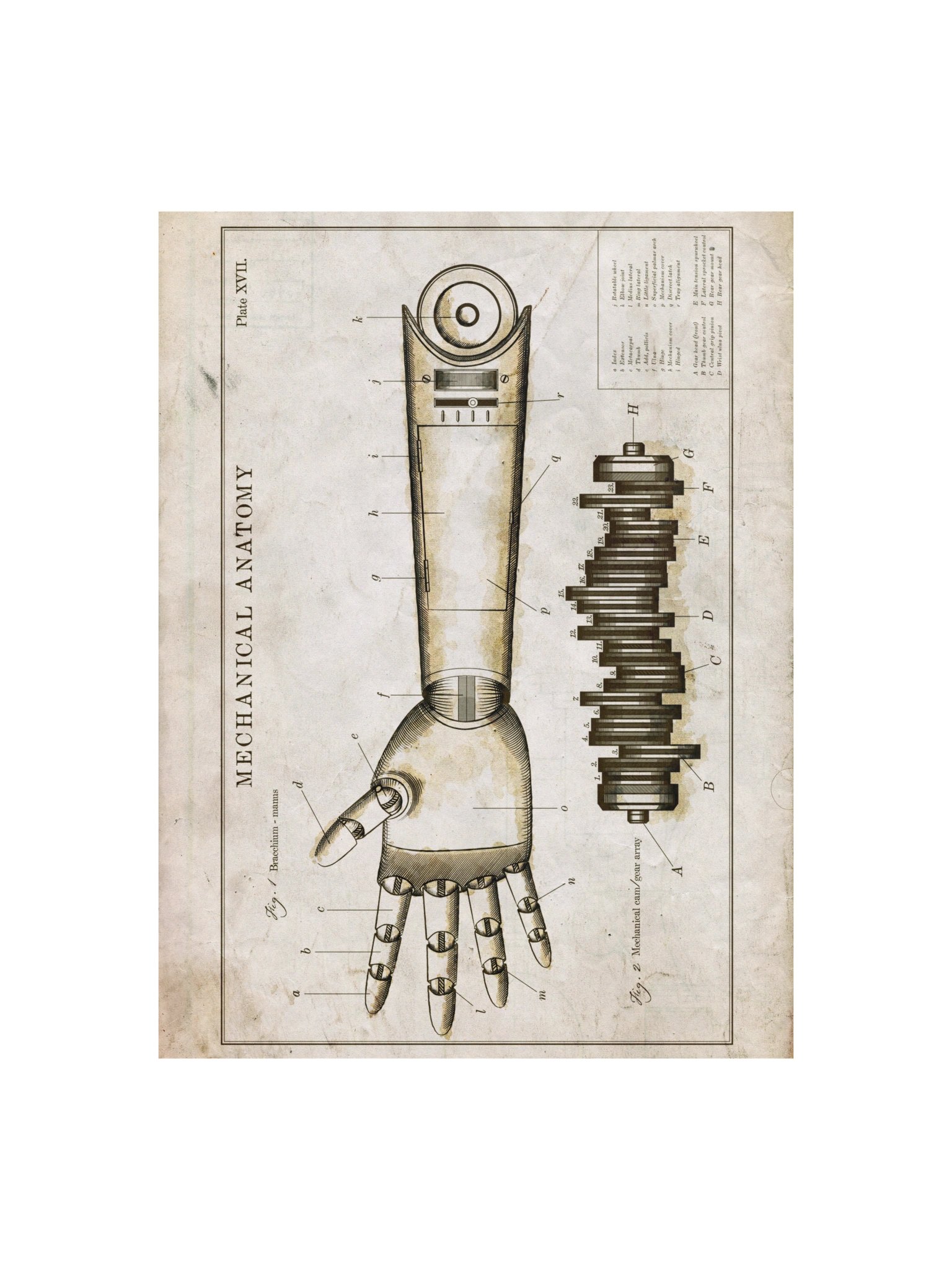 The Room - Mechanical Arm A product image (1)