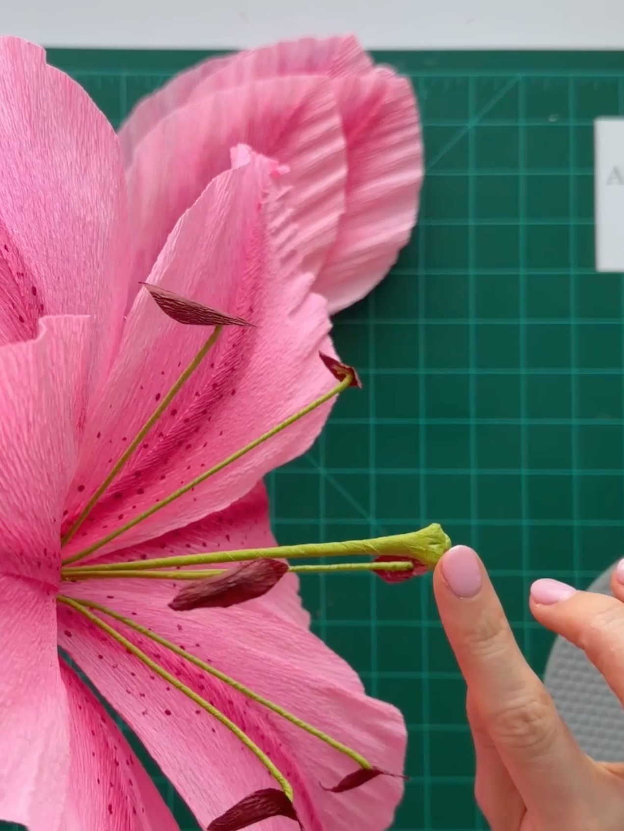 DIY Giant Crepe Paper Lily Flower: 3 sizes Templates from Video Tutorial + Materials Checklist product image (7)