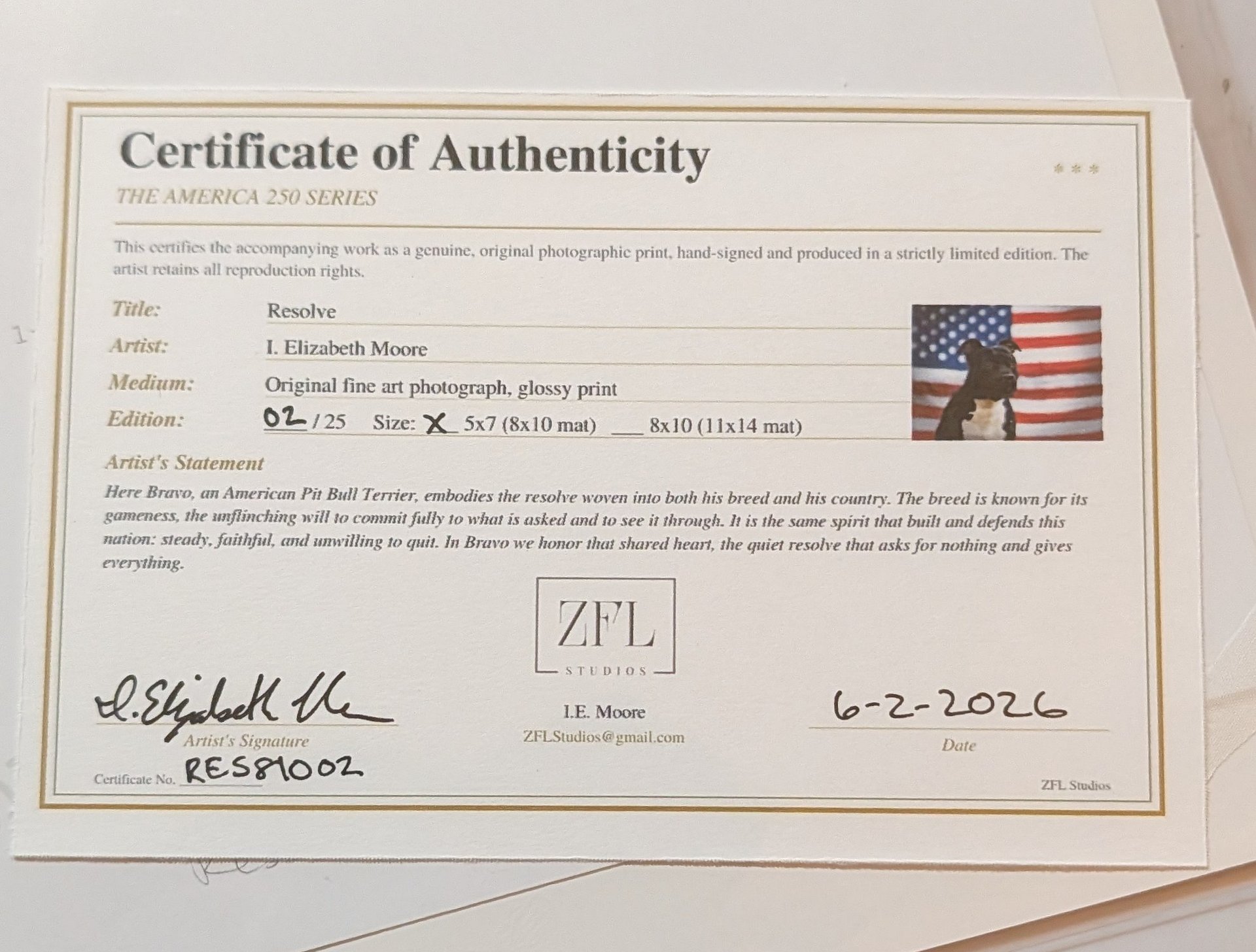 Resolve Limited Edition Print – American Pit Bull Terrier USA Flag (Signed 5x7 matted 8x10) product image (2)