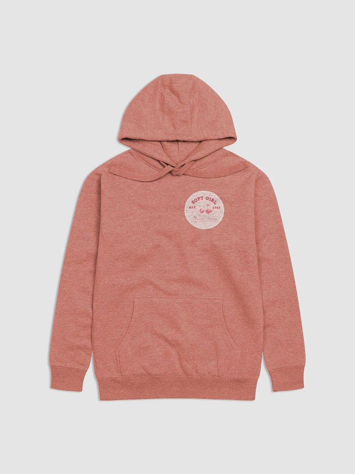 Vintage Cherries Hoodie product image (1)