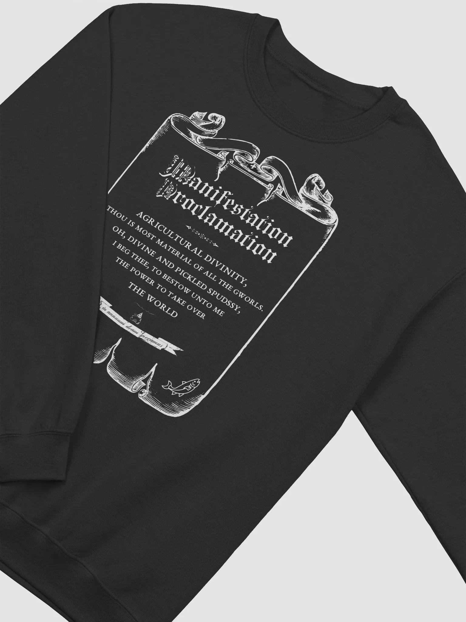 manifestation proclamation sweatshirt product image (3)