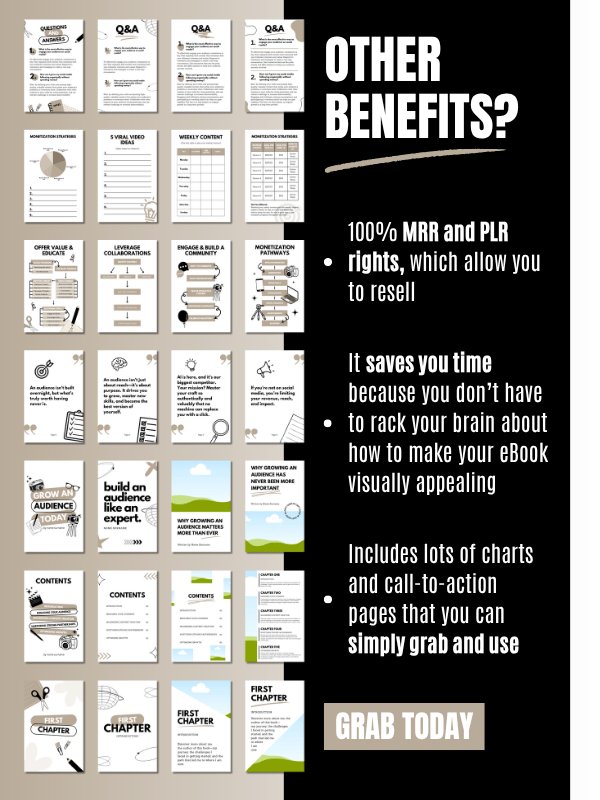 MRR/PLR Editable eBook Template in Canva product image (6)