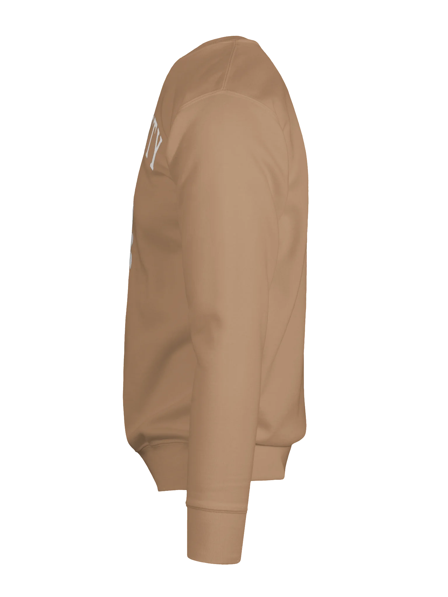 Chatty Campfire Premium Sweatshirt | Cozy Chatty Fall Collection product image (33)