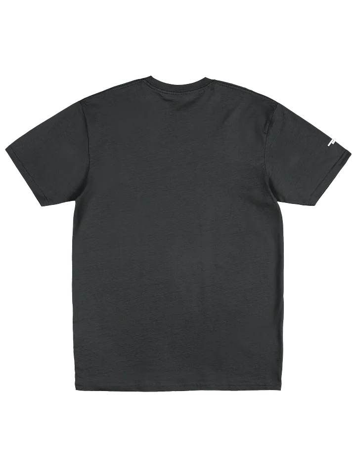 "hashishi" japanese tee product image (2)