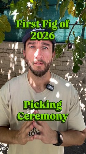 Please join me for a huge milestone:  the ceremonial picking of the first fig from my tree for the 2026 growing season. 

A h...