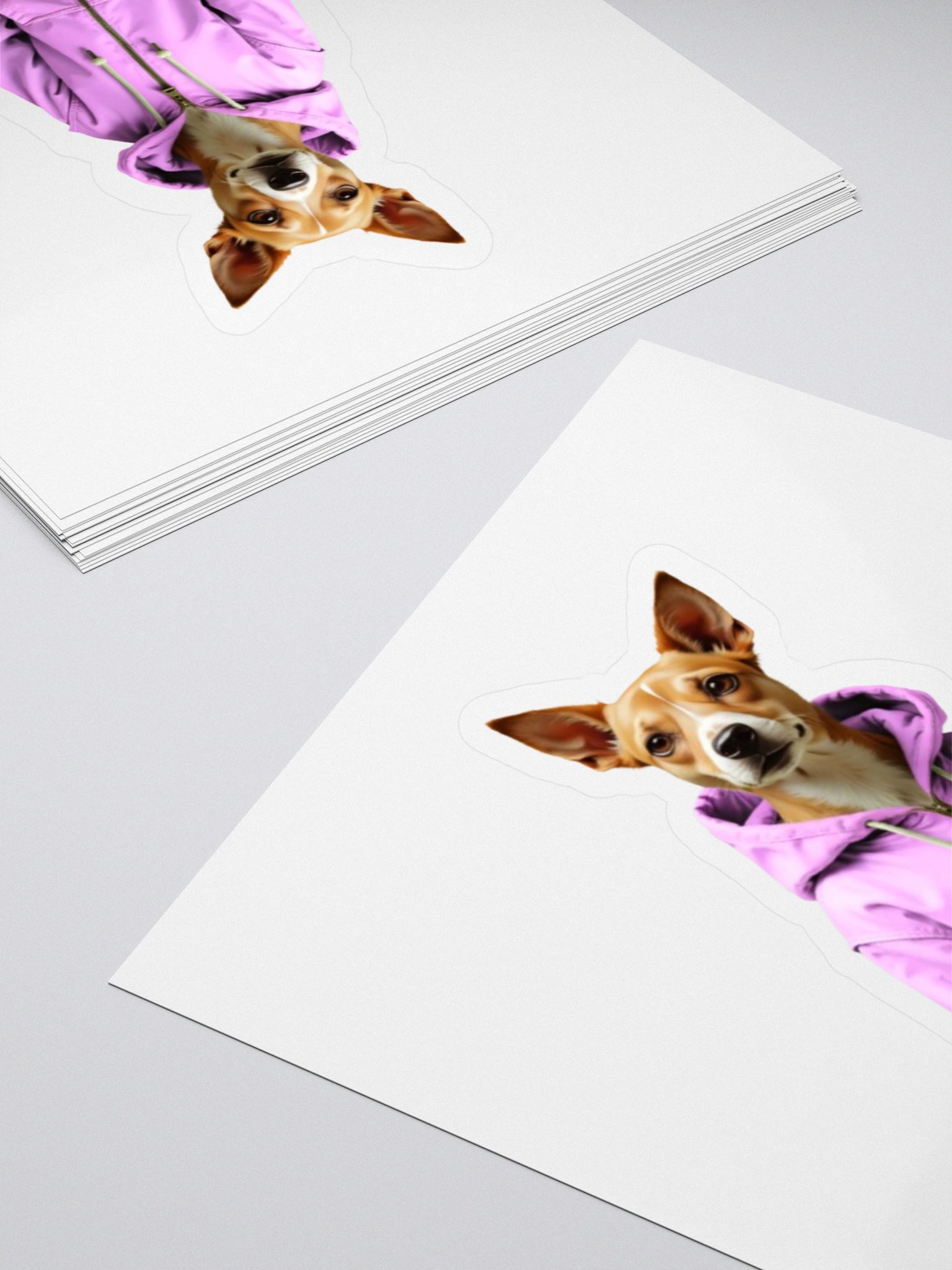 Potcake in Hoodie Sticker product image (4)