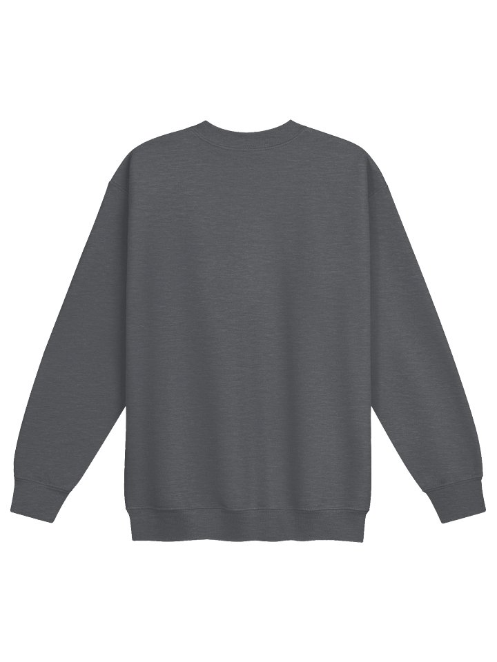 YOUTH Sweatshirt product image (2)
