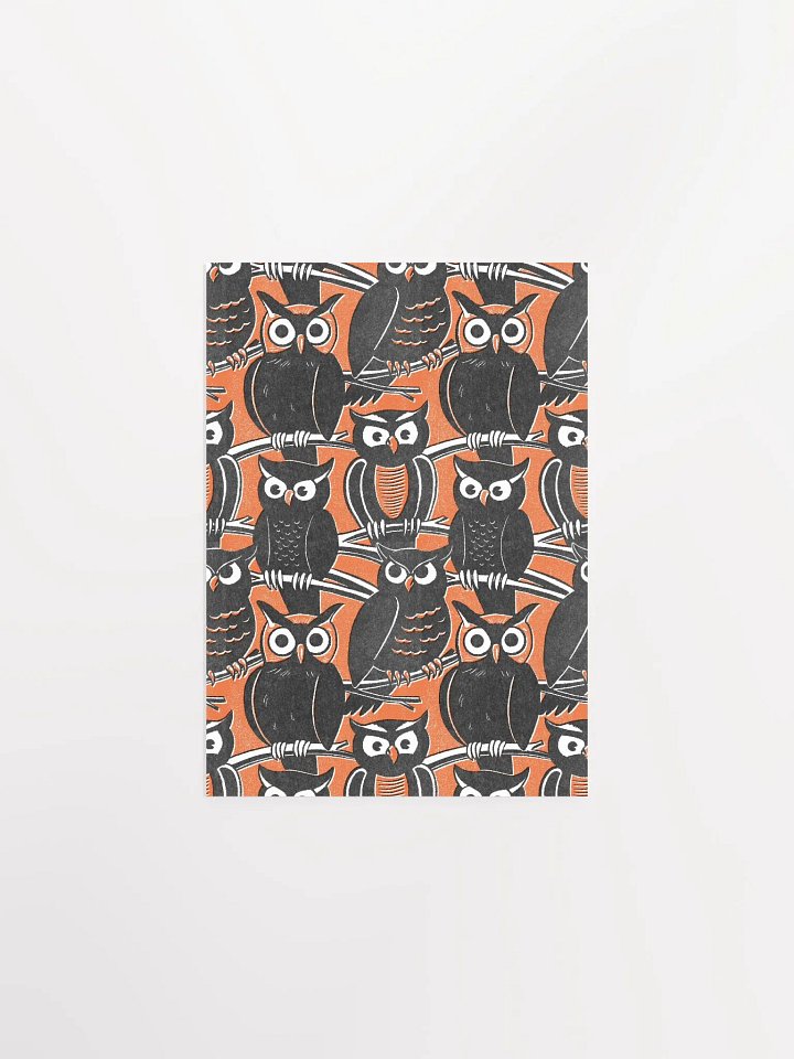 Owls product image (1)
