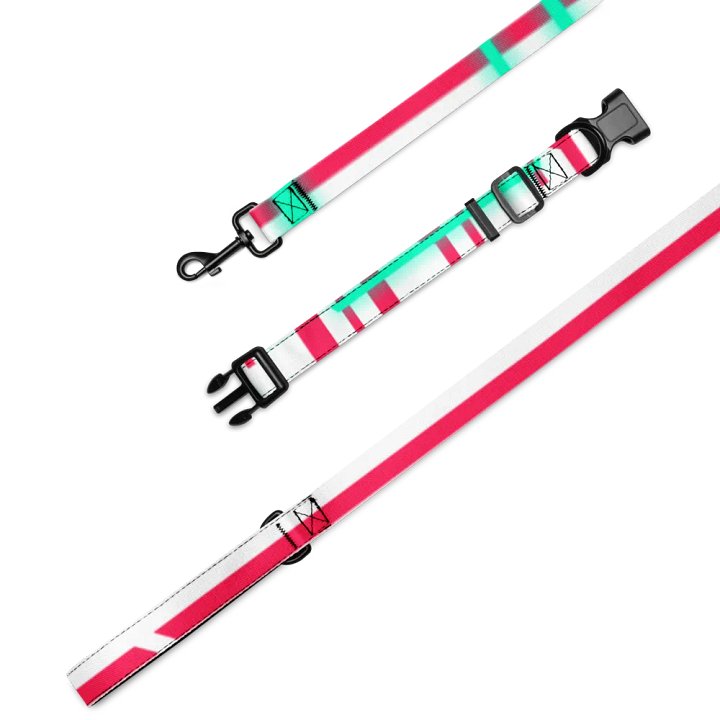 Cyberia Pet Collar and Leash product image (4)