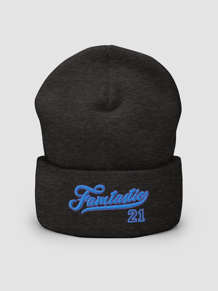 Famtastic Beanie product image (2)