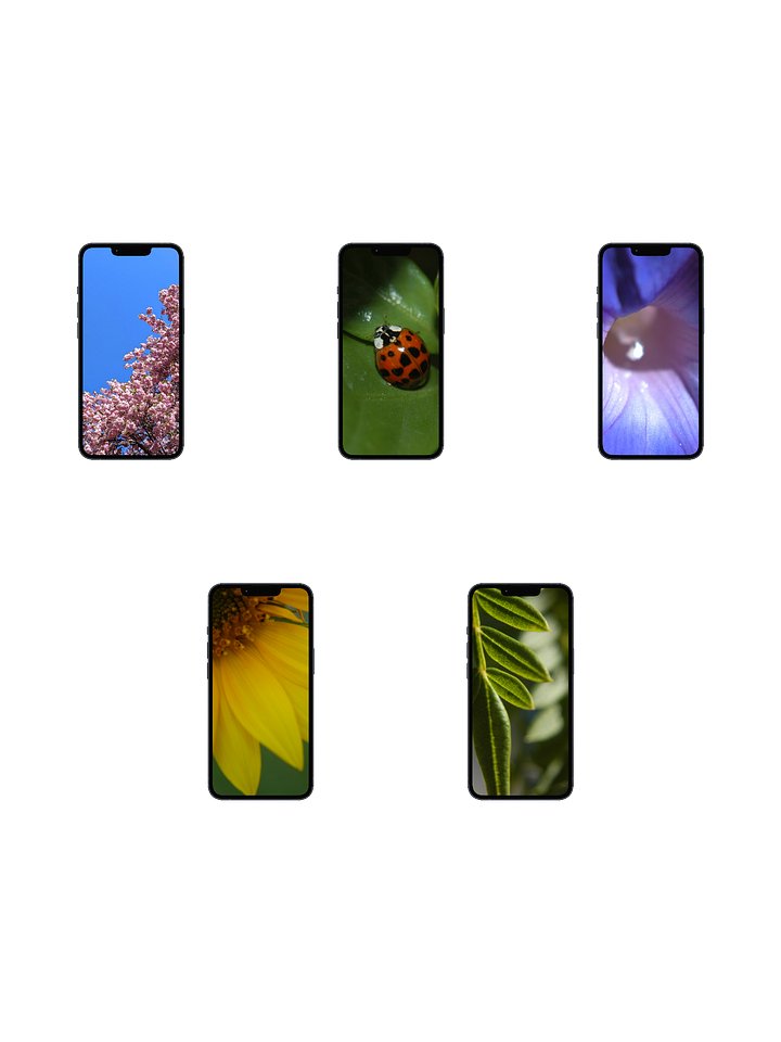 the bramblebright digital wallpaper collection product image (1)