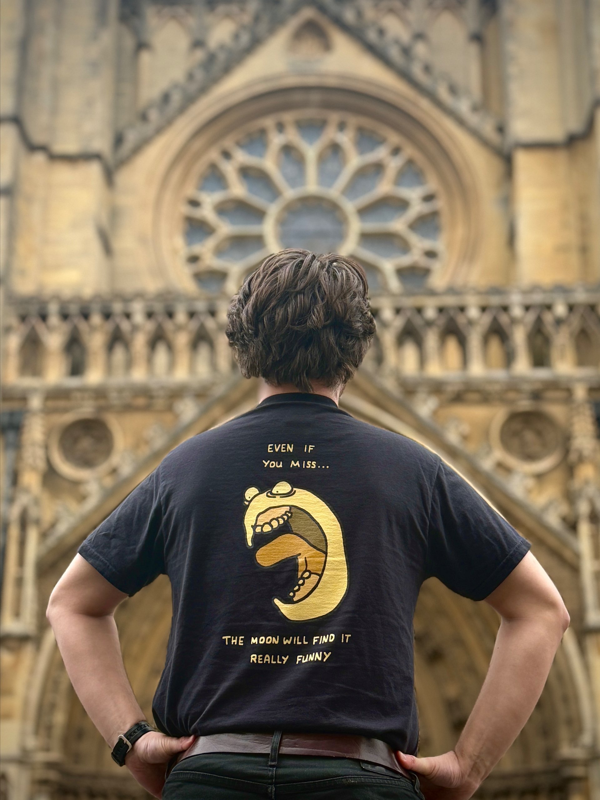 Shoot for the Moon product image (2)