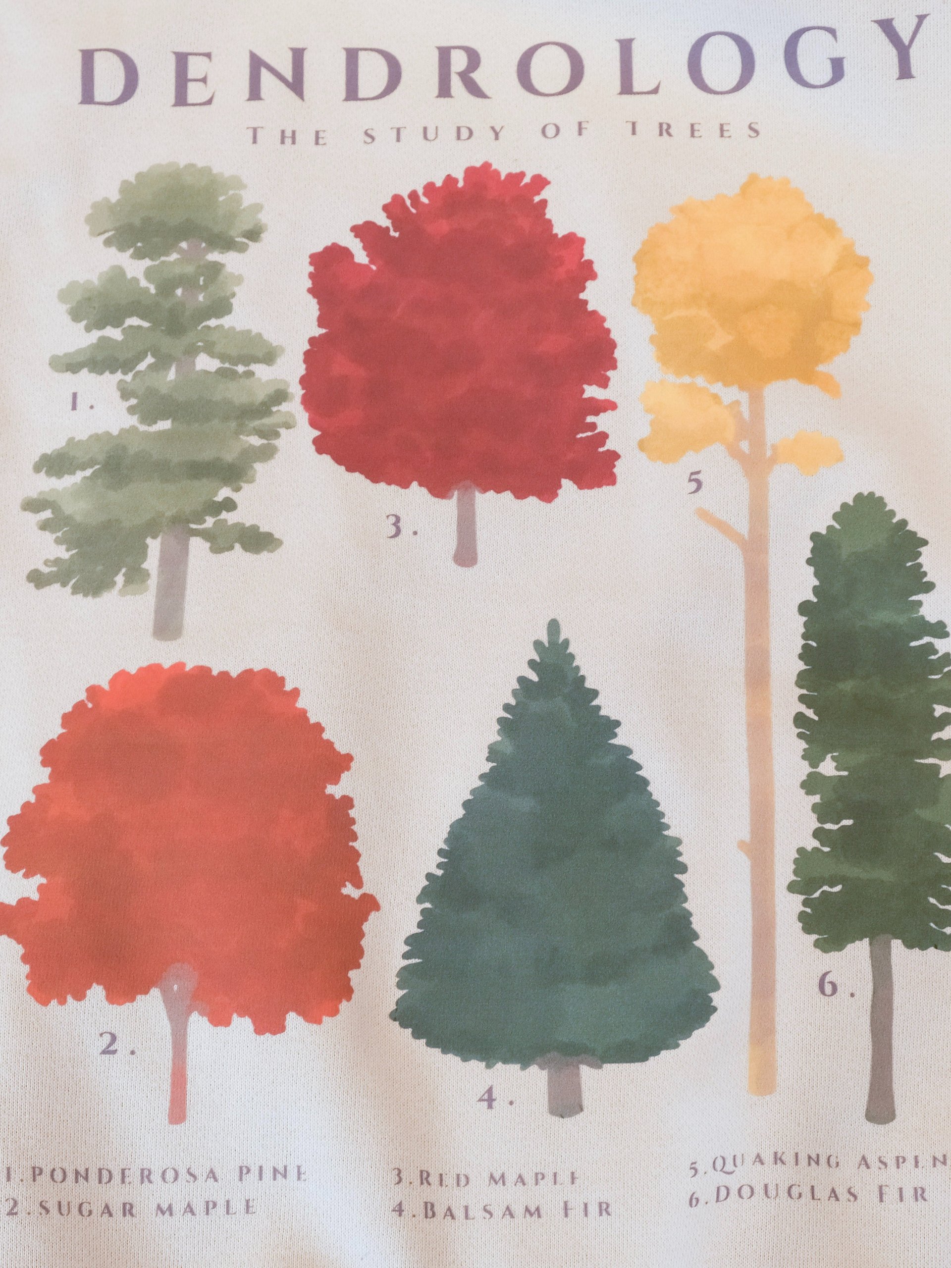 National Park Tree Hoodie product image (4)