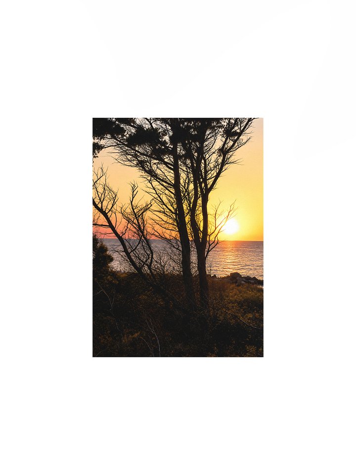 Holding the Last Light - Print product image (1)