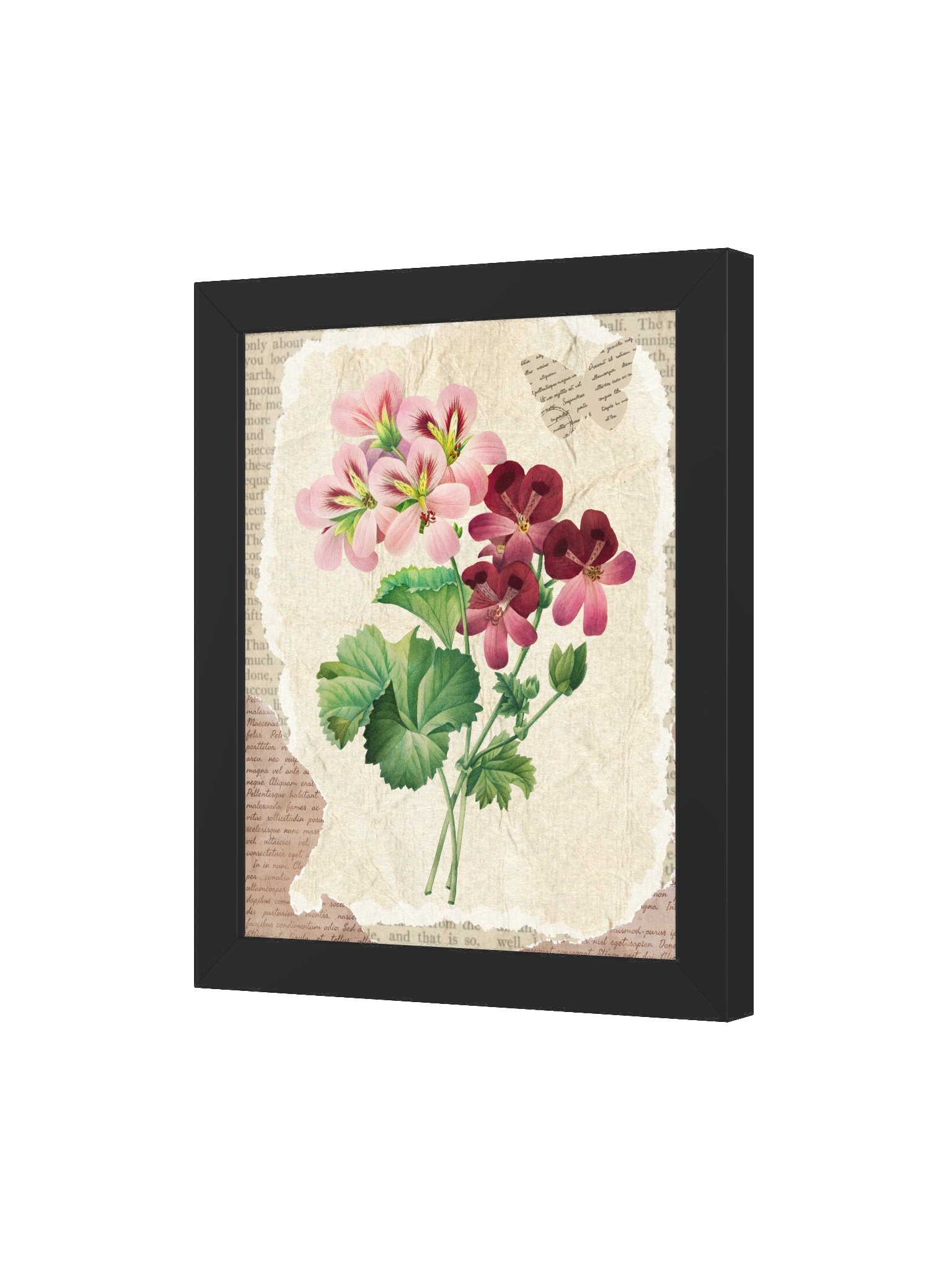 Vintage Botanical Rose Framed Print product image (3)
