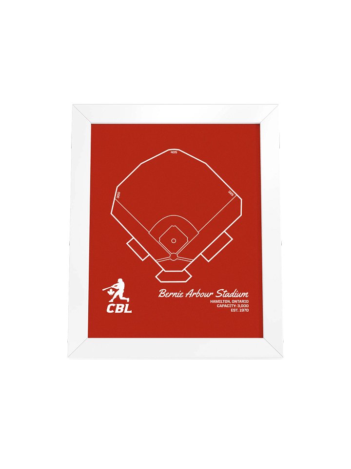 Hamilton Ballpark Print product image (49)