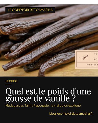 Combien pèse vraiment une gousse de vanille ? 🌿

On me pose la question presque chaque semaine au comptoir. Et la réponse en ...