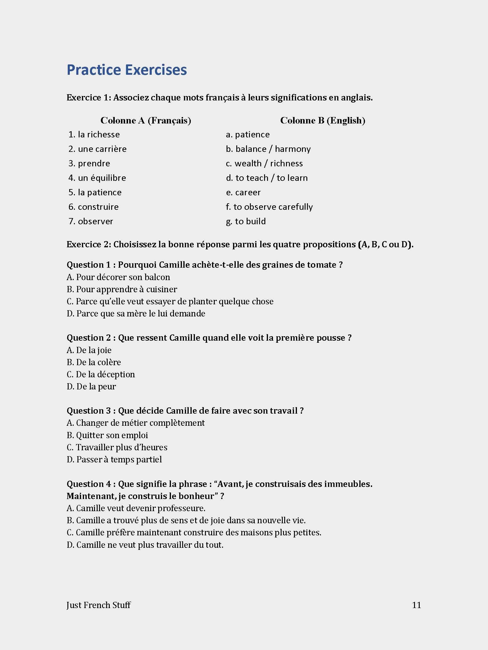 Printable Easy French Short Story Reading Practice Workbook - Les tomates de Camille (Beginner A1/A2) product image (6)