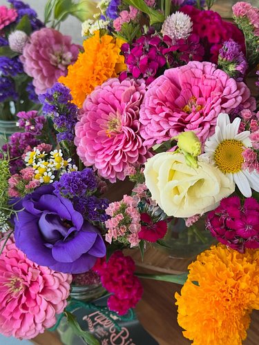 Stroll around the farmers market with me. 💐 What would you buy? #rockwall #rockwalltx #dfw #farmersmarket