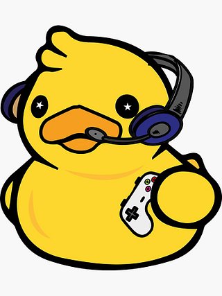 Duck's Nest Gaming