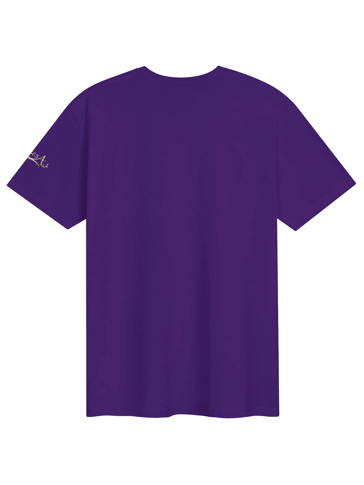 Grateful Mode 2026 T-Shirt - Unisex product image (2)