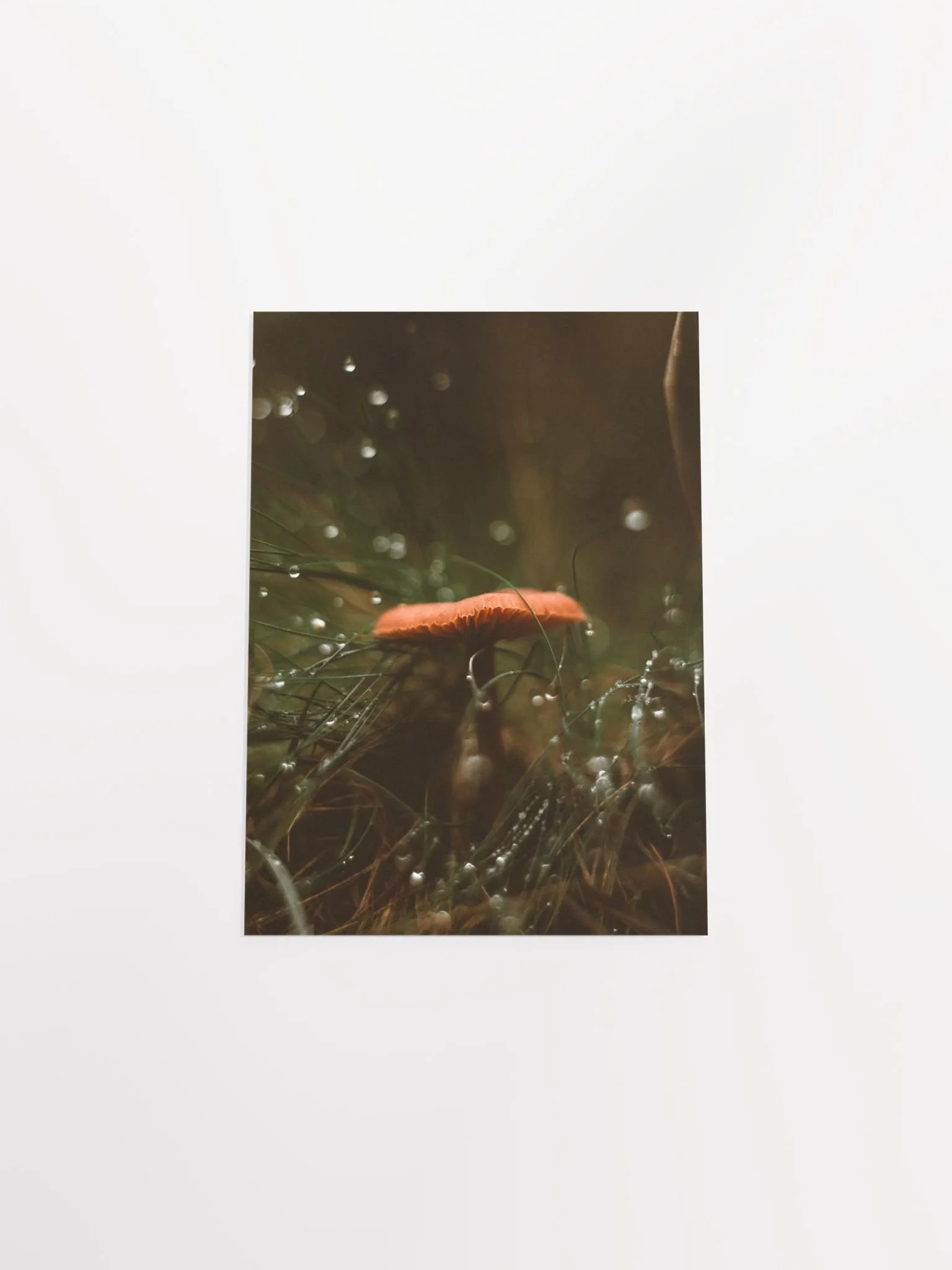 Vintage Mushroom product image (16)