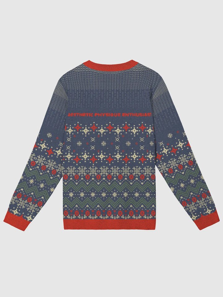 APEvolution Holiday Ugly Sweater [Mens] product image (7)