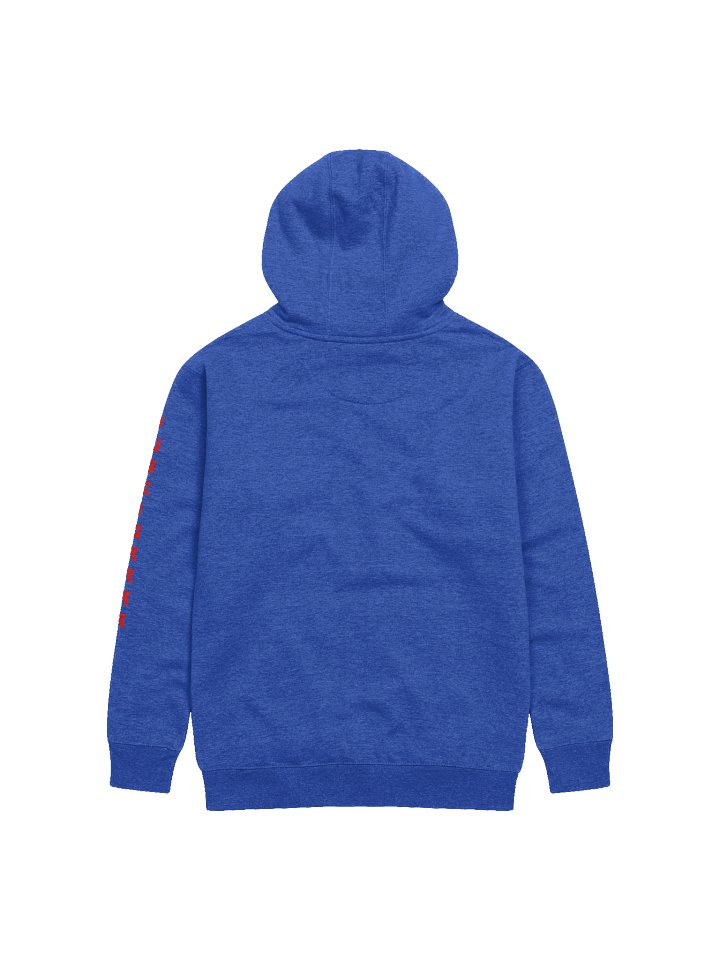 WCYD Hoodie (additional colors) product image (2)