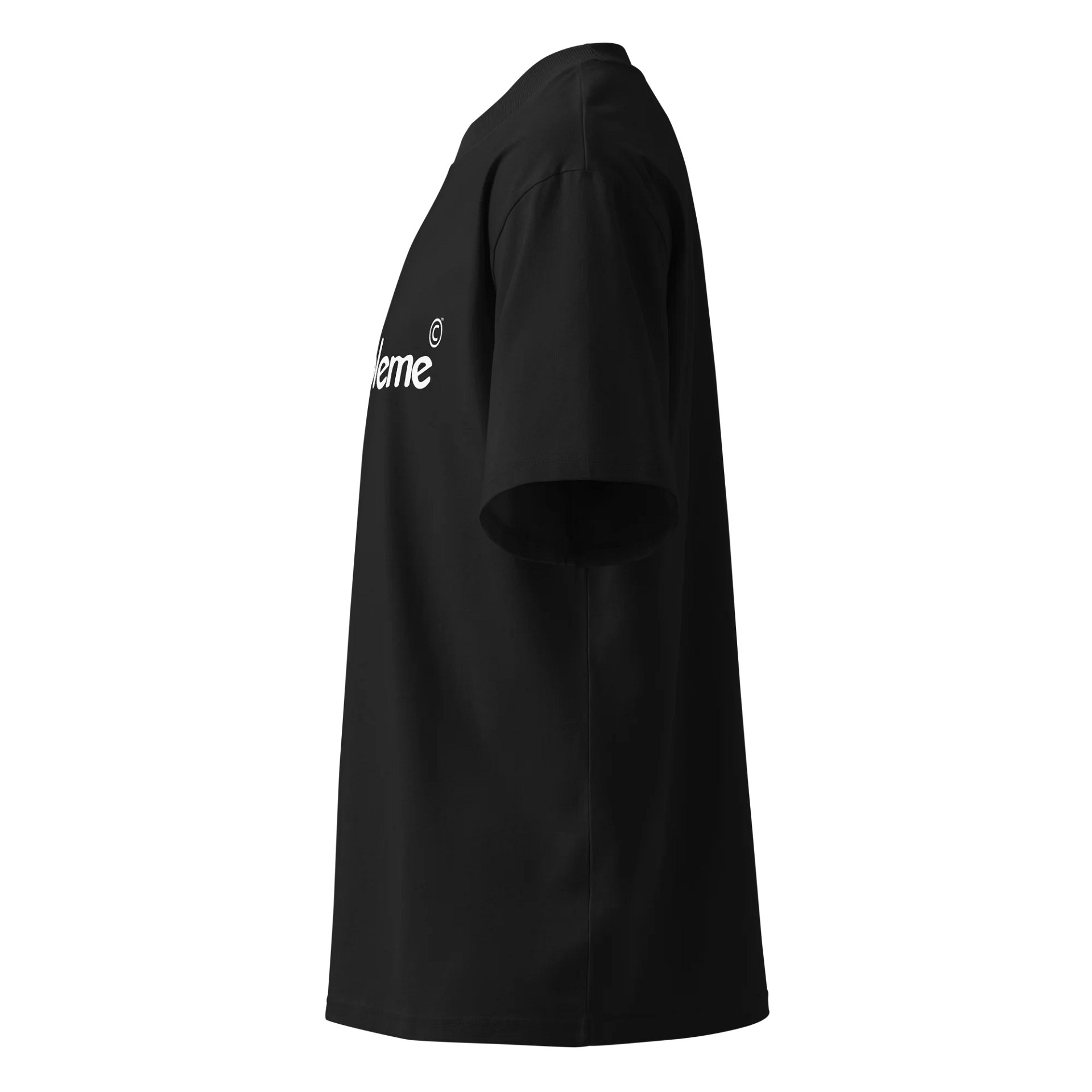 Black Premium T-Shirt product image (4)