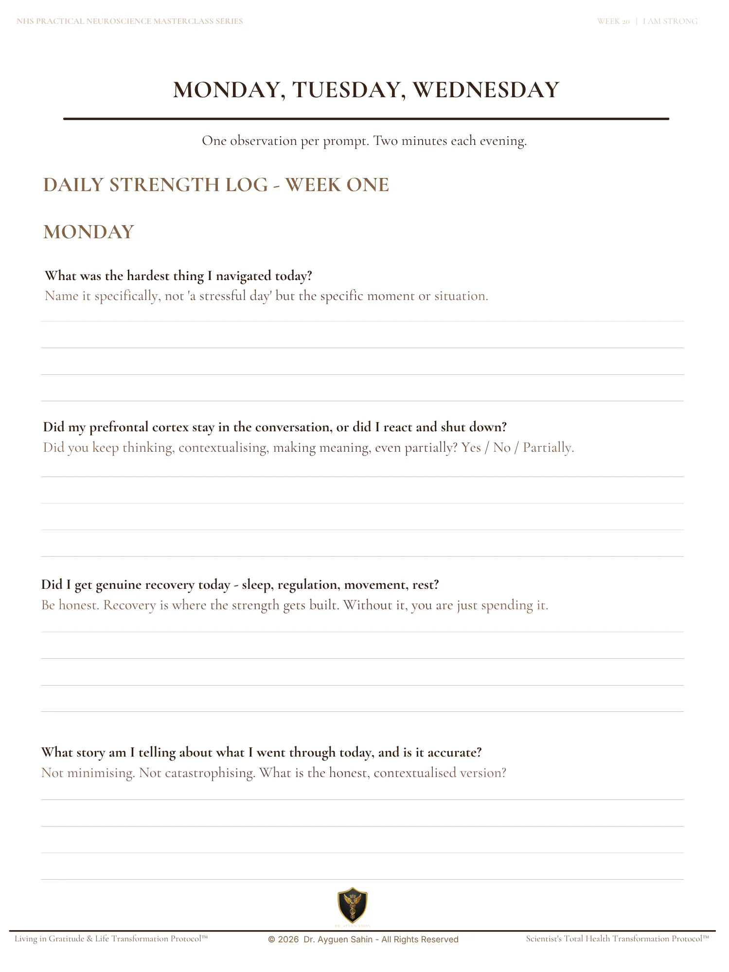 THE STRENGTH AUDIT product image (3)