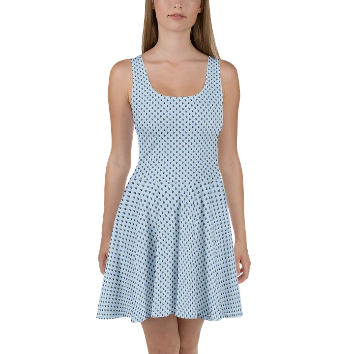 The Flappr Sundress product image (2)