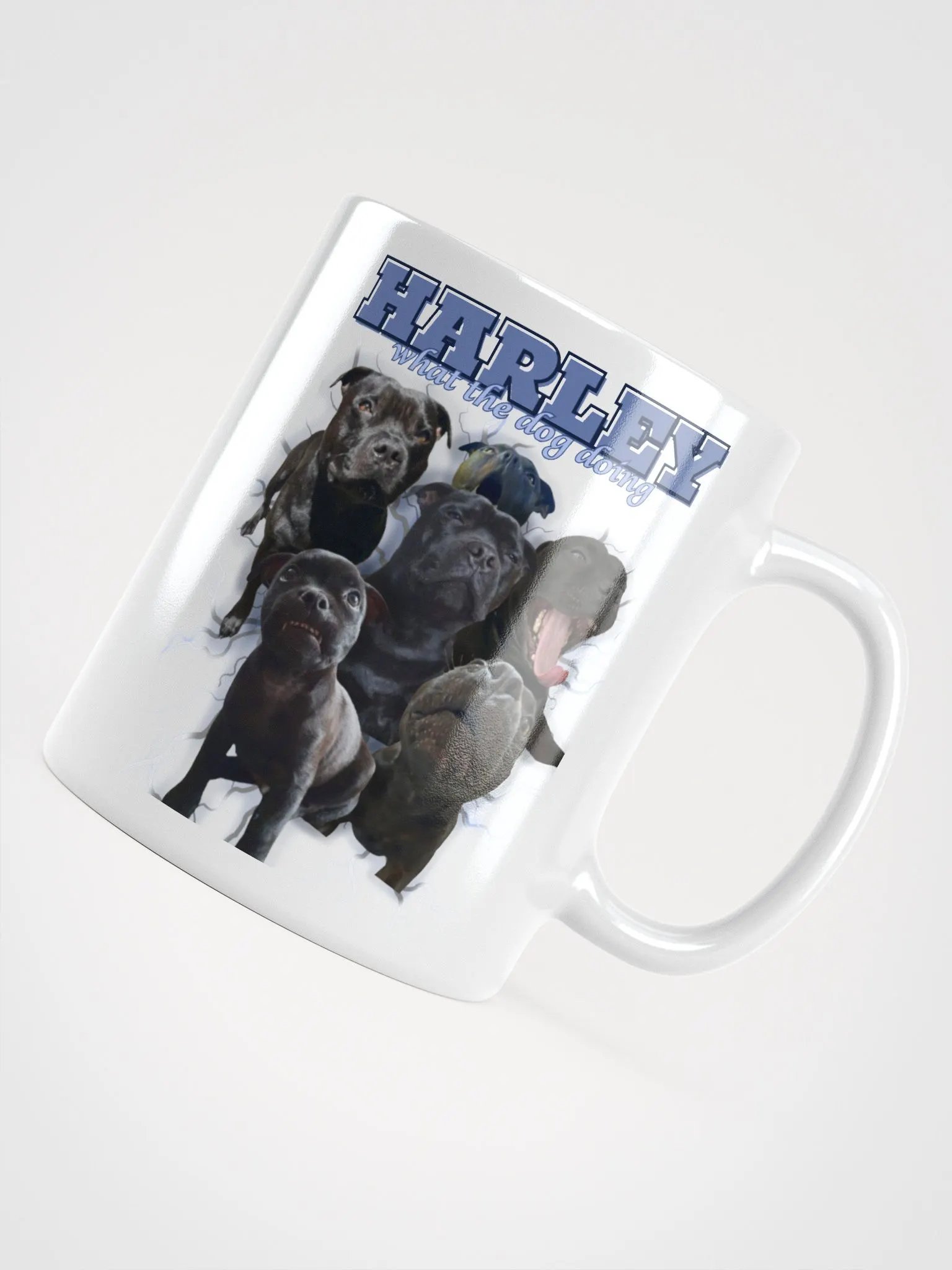 Harley's Mug Shot?! product image (4)