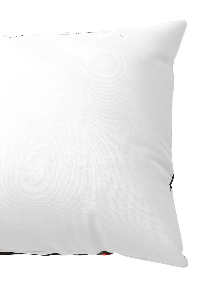 FINAL ORDERS Triptych Pillow product image (3)