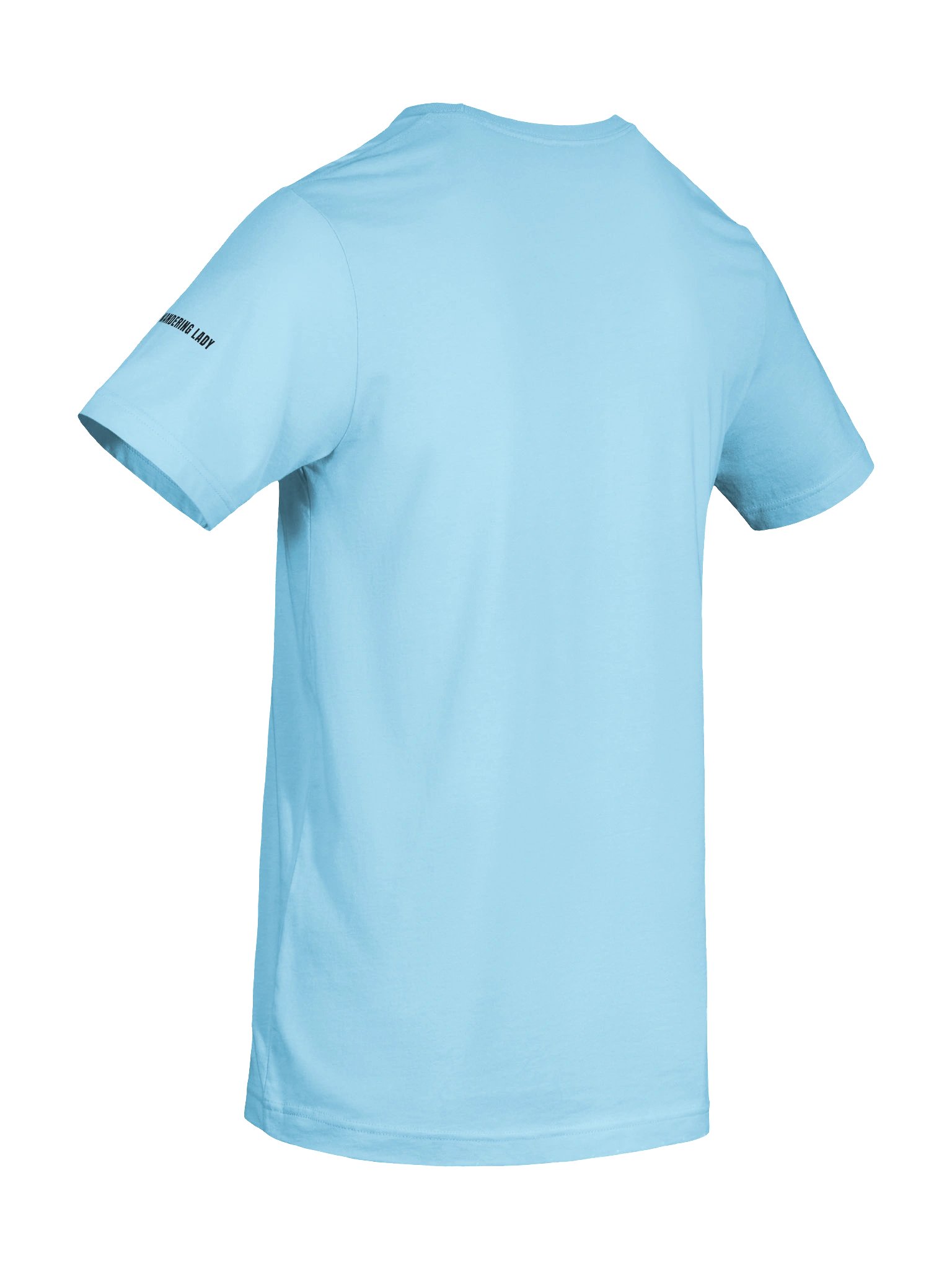 Silver Hair, Don’t Care Rig Tour Women's Casual Tee product image (10)