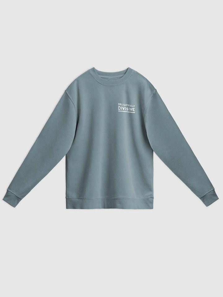 DELIGHTFULLY DIVISIVE (sm. white design) printed pigment crewneck product image (25)