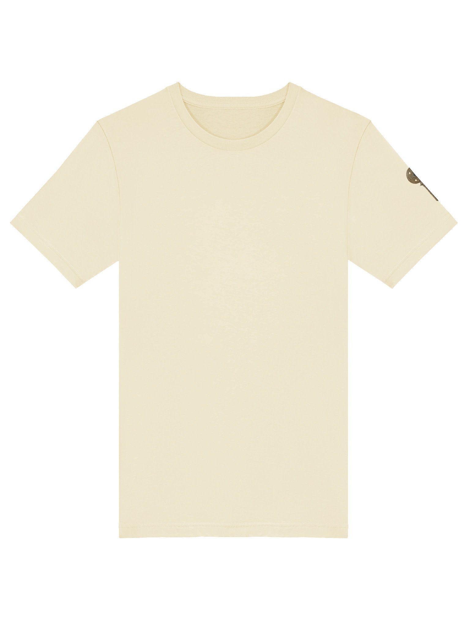 The Gatekeeper’s Key Classic T-Shirt – Back & Left Shoulder Print | Natural | Bella+Canvas 3001 product image (5)