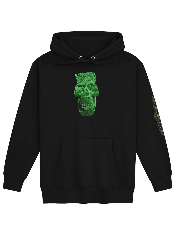 Aliencarvings.com Advanced Technology Hoodie product image (1)